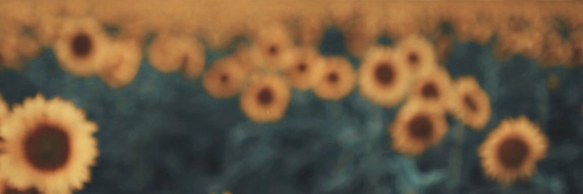 sclatt's profile banner image
