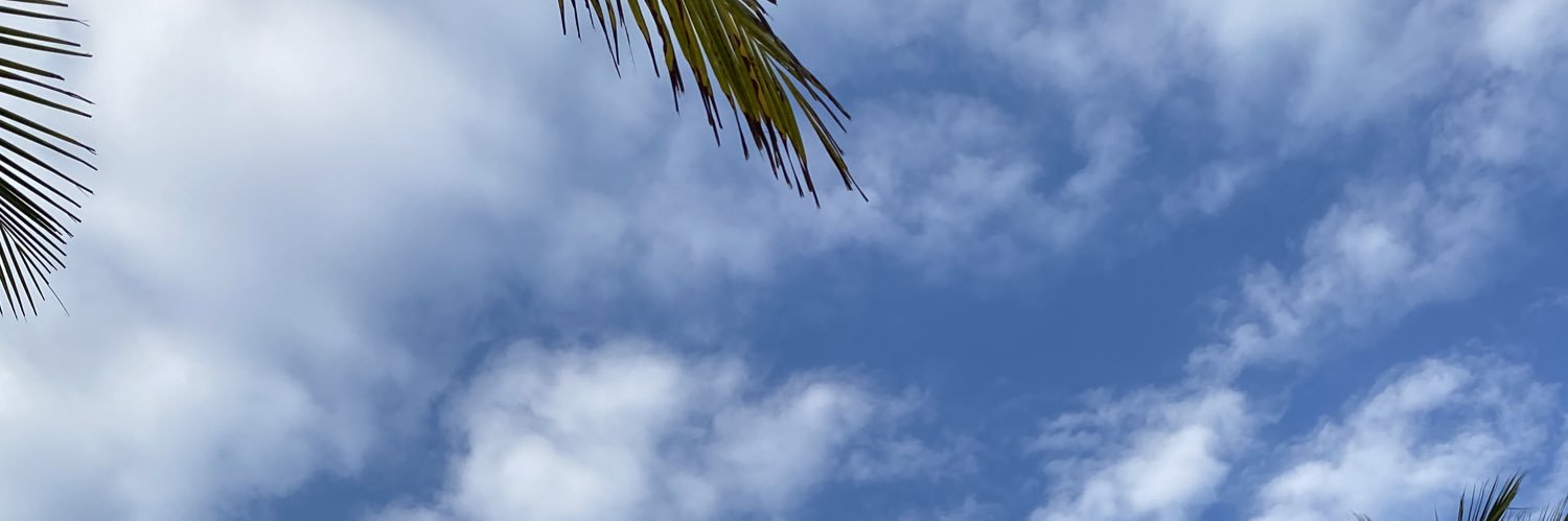 lithium7375's profile banner image