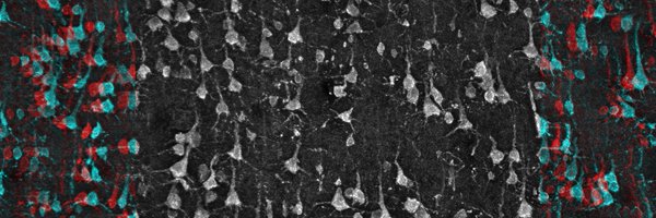 KESchoonover1 Profile Banner