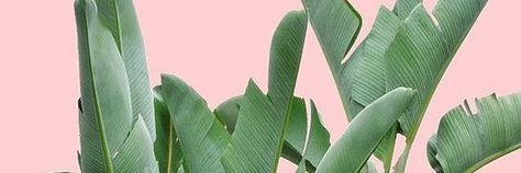 ChristinaBrehm's profile banner image