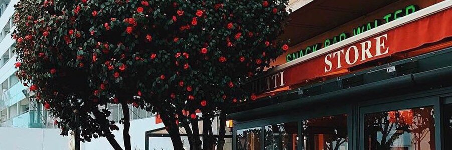 elvina_ko's profile banner image