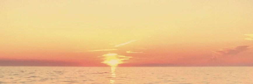 Candymorrissey's profile banner image