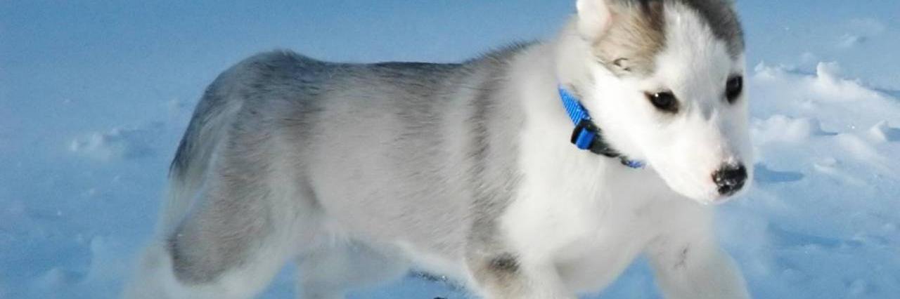 NievesCurso's profile banner image