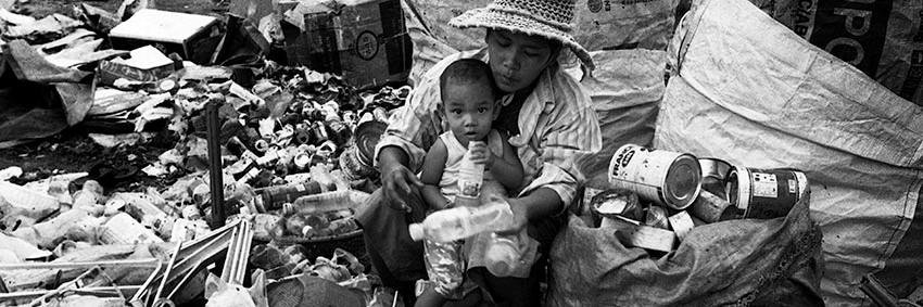 Smiling Gecko banner