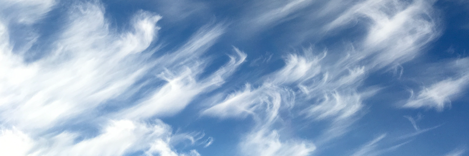 Above Avalon Daily banner