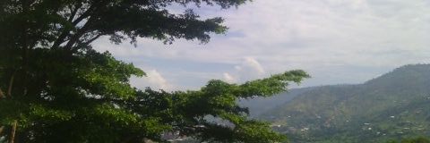 ndayihaya's profile banner image