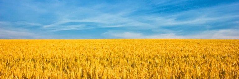 heather_merrill's profile banner image