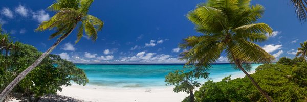 NRelaxation Profile Banner