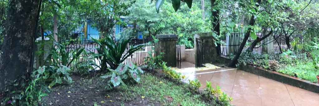 bhave_priya's profile banner image