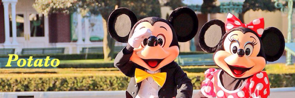 disneyfine's profile banner image