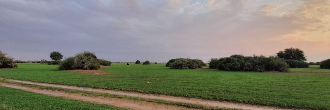 thayyan99's profile banner image