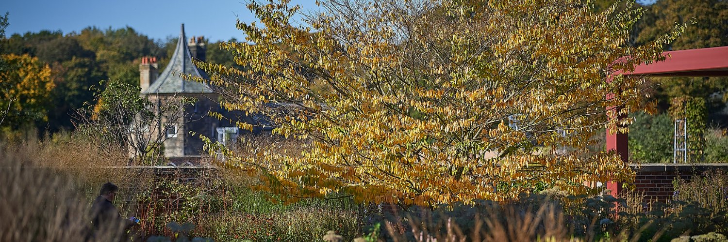 RHSBridgewater's profile banner image