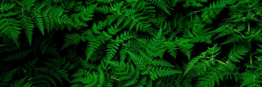 Yusuf Andri Basuki banner