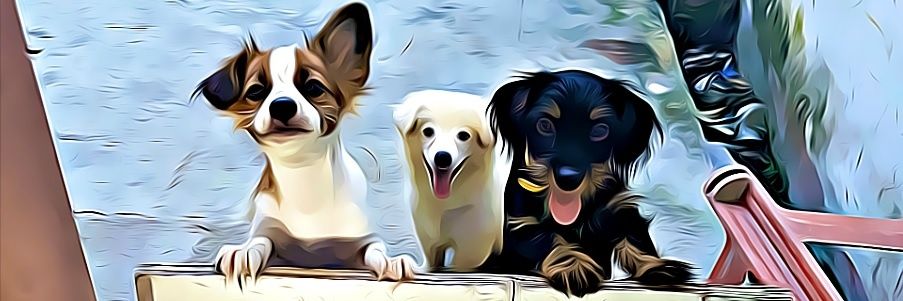 vonnemarrow's profile banner image