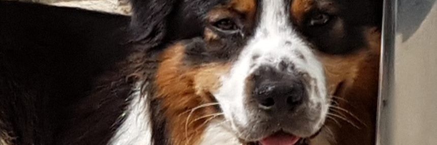 Mummss77's profile banner image