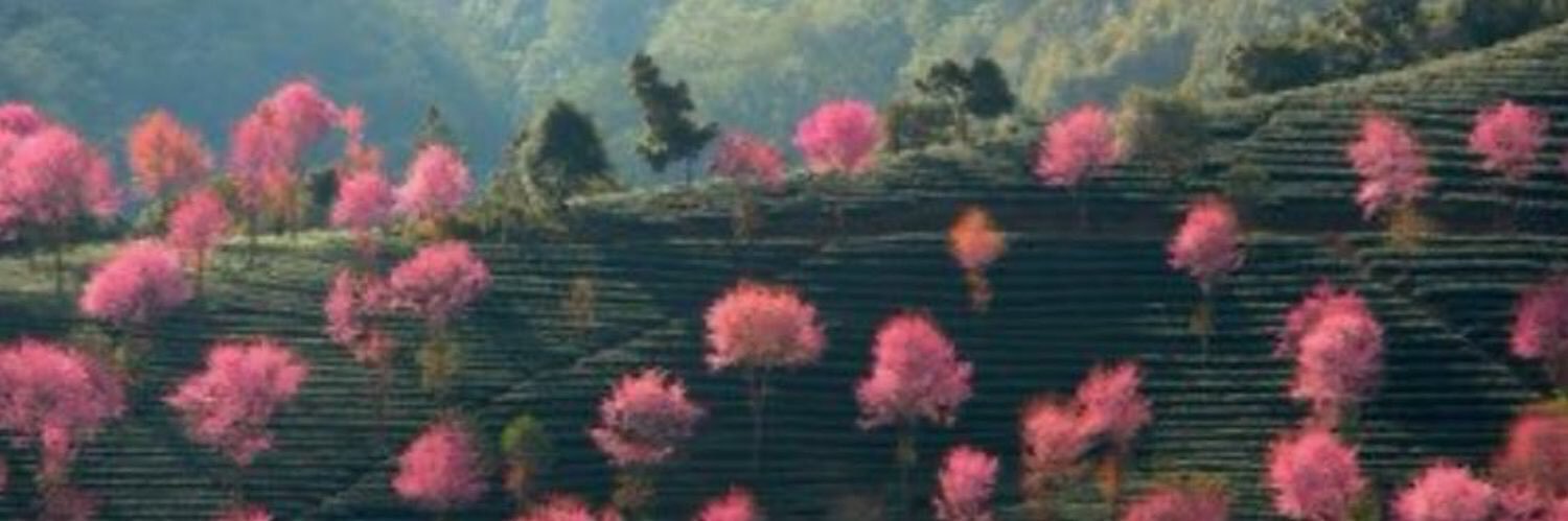 JE_F91's profile banner image
