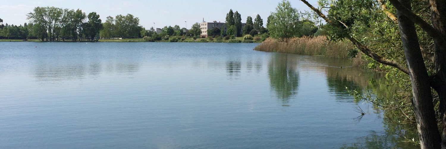 vanessa guyard banner