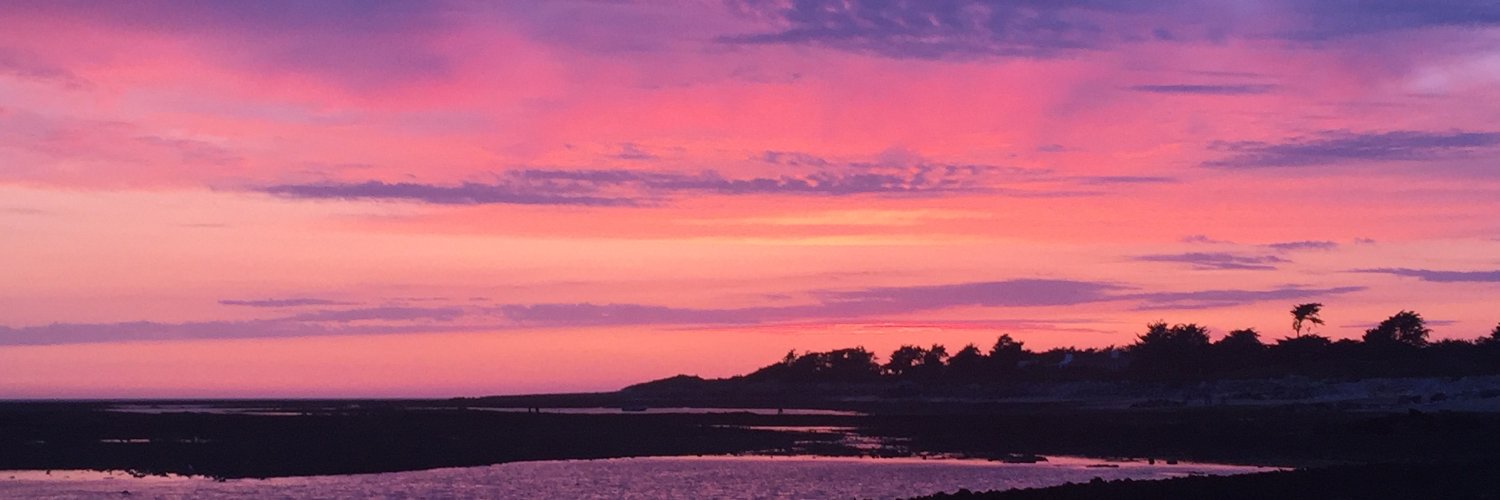 Barbara Diggs banner