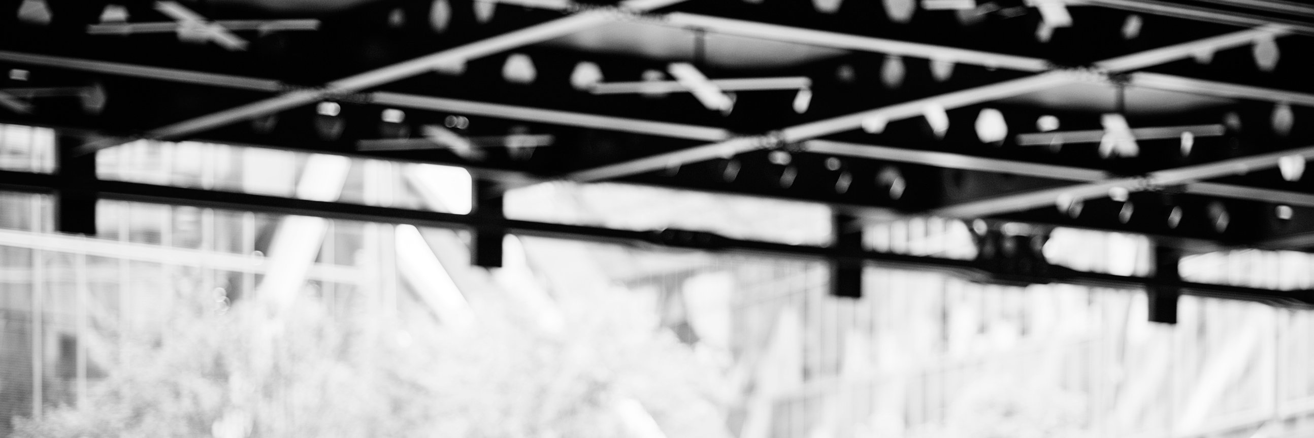 maven_search's profile banner image