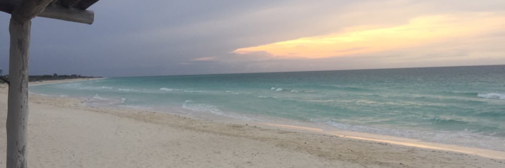 davidmorillo8's profile banner image