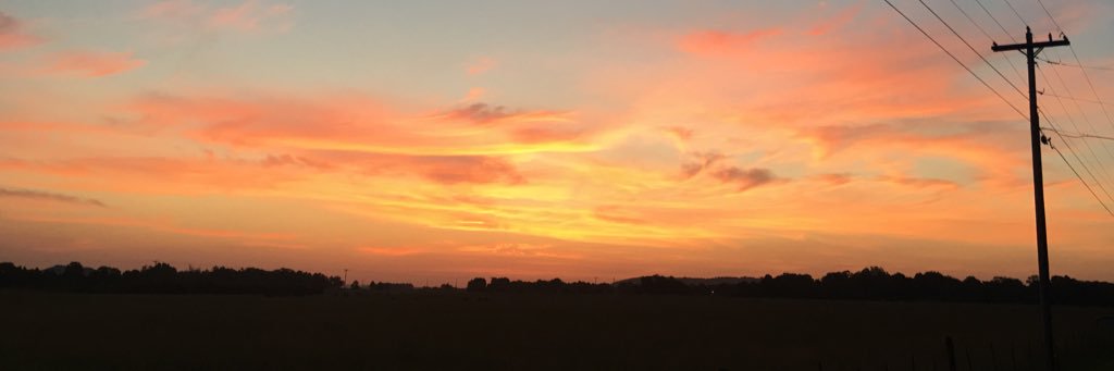 shayne__b's profile banner image
