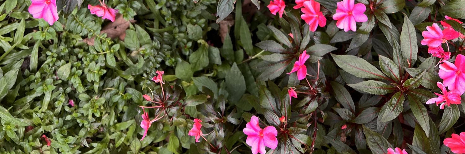 TawengMd's profile banner image