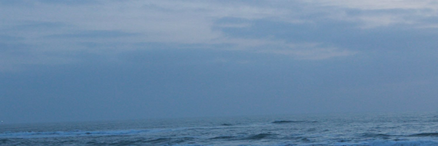 Christophe Carignano banner