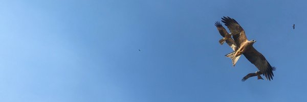 cpollmer Profile Banner