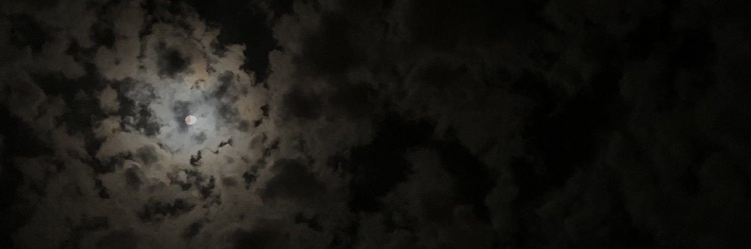 ipl10l's profile banner image