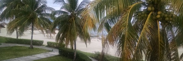 ThadSr16 Profile Banner