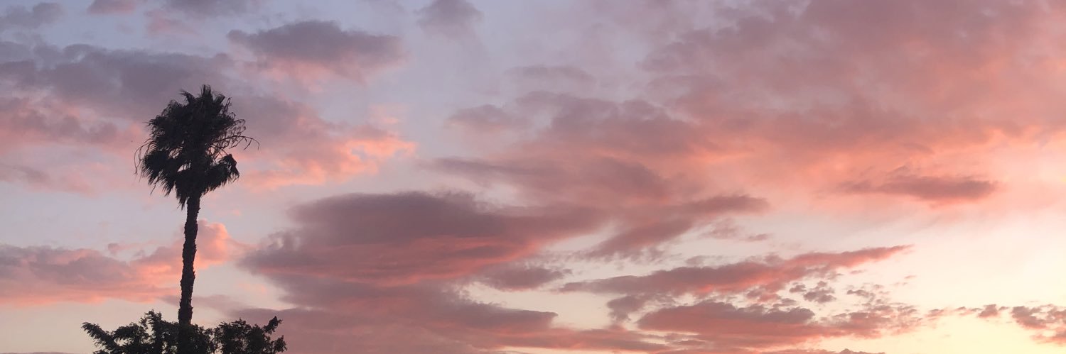 emsder_'s profile banner image