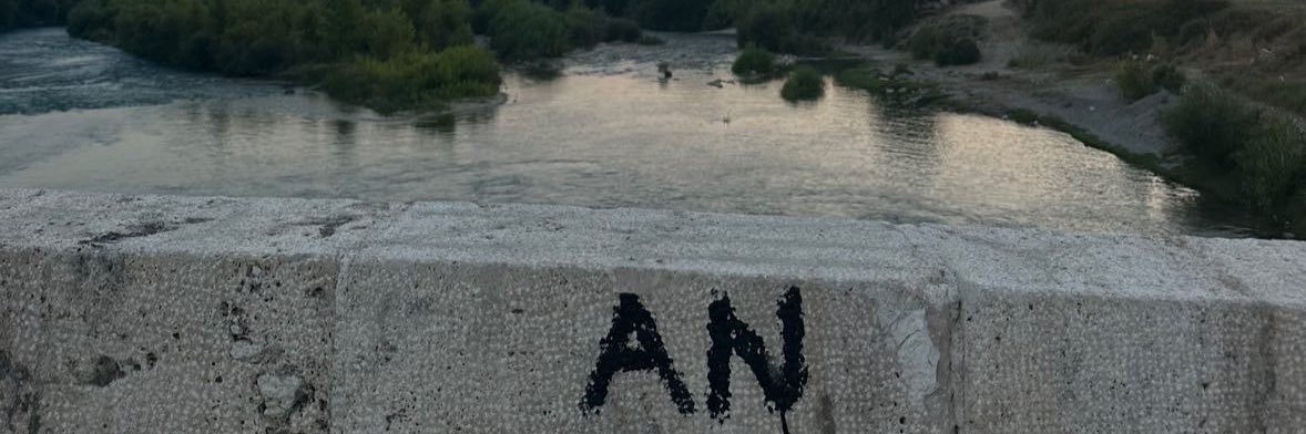 blondback's profile banner image