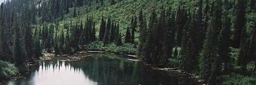 aokisme_'s profile banner image