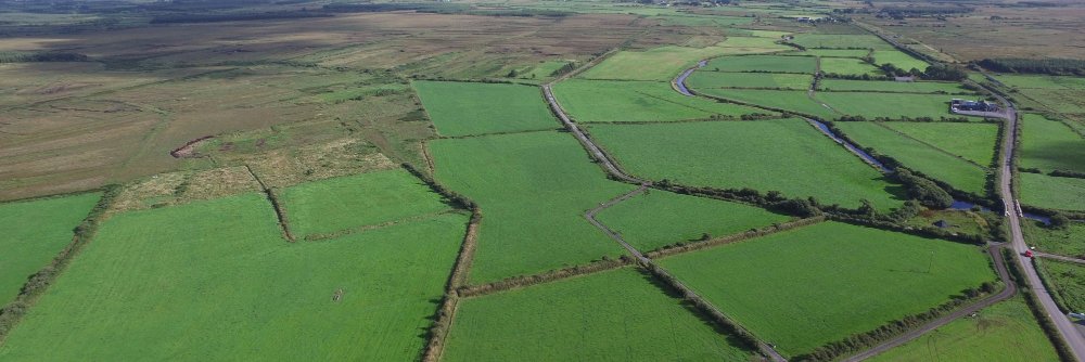 danny bermingham banner