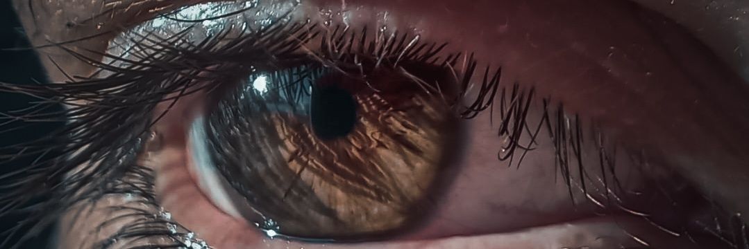lucaspinto324's profile banner image