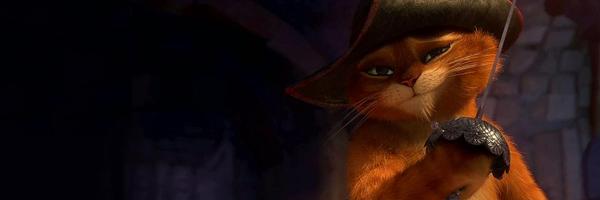 Puss Profile Banner