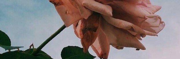 Loyalty_ece's profile banner image