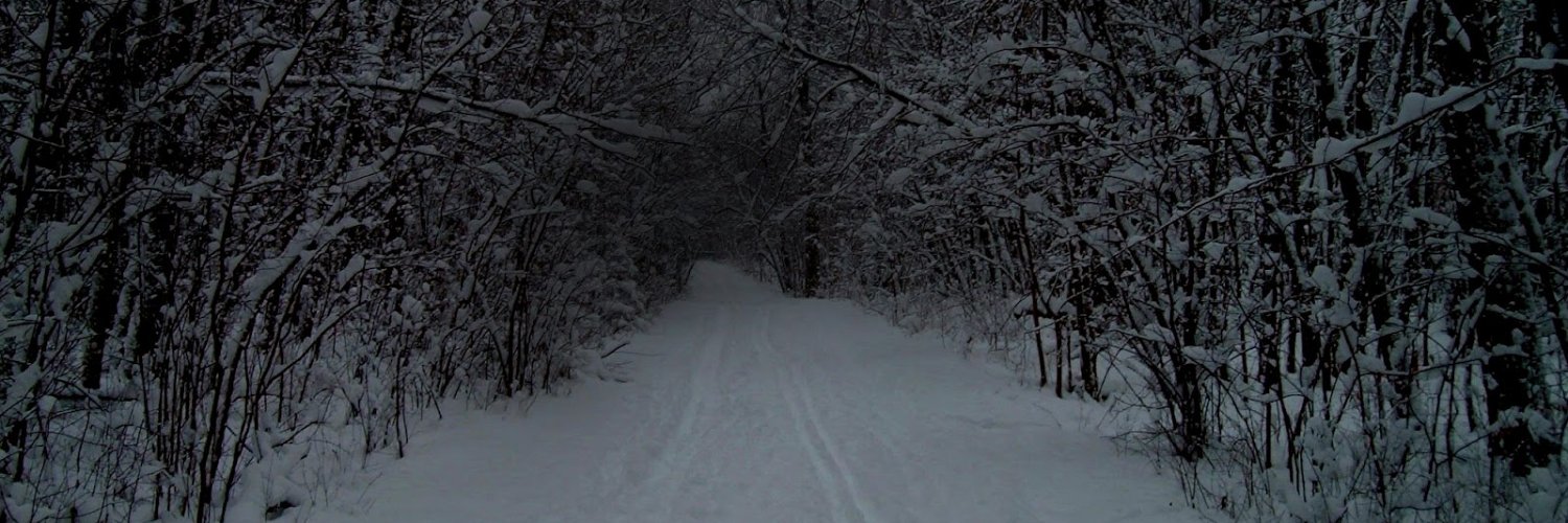 Jyrroo's profile banner image