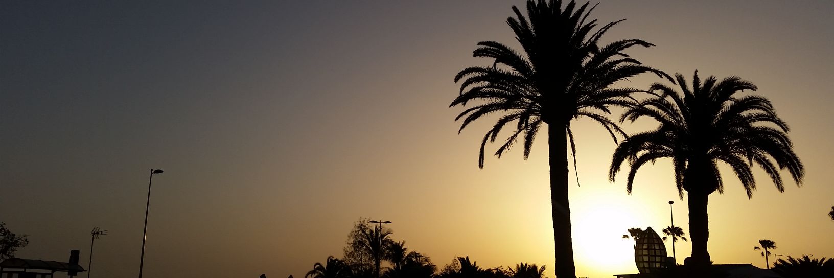 darrelldevries's profile banner image