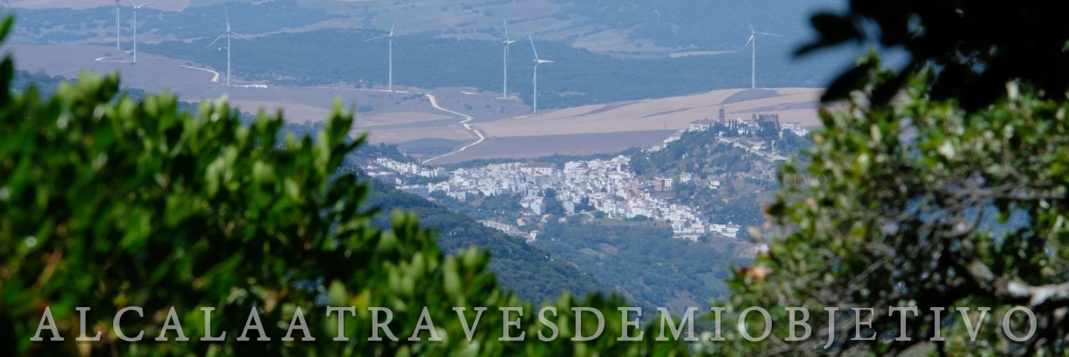 PedroMartnSnche's profile banner image