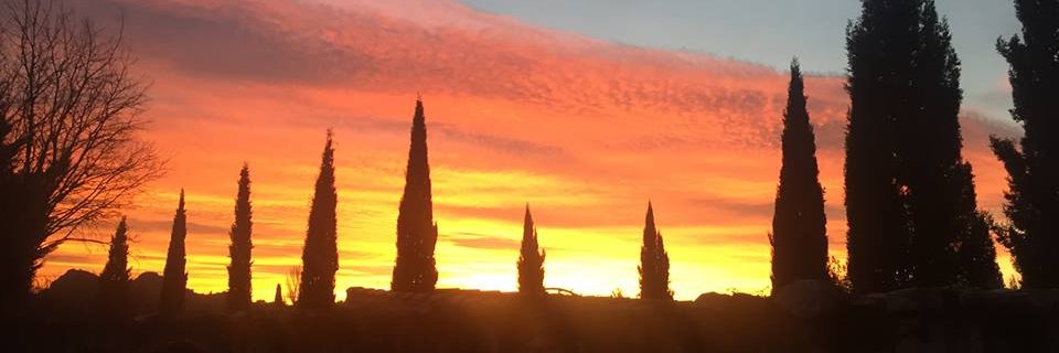 Françoise Le Roux banner