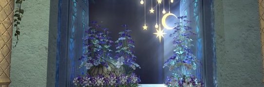 lili@水属性 banner
