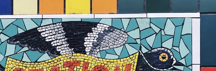 🌱Lauren Knapman banner