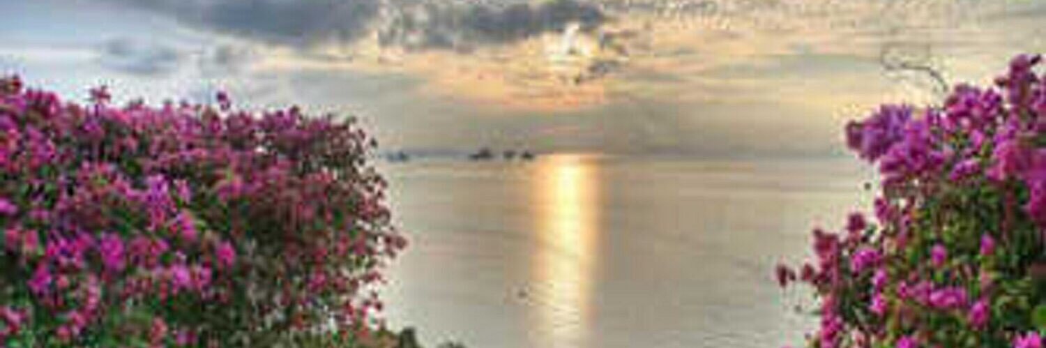 نوف بنت عبدالعزيز banner