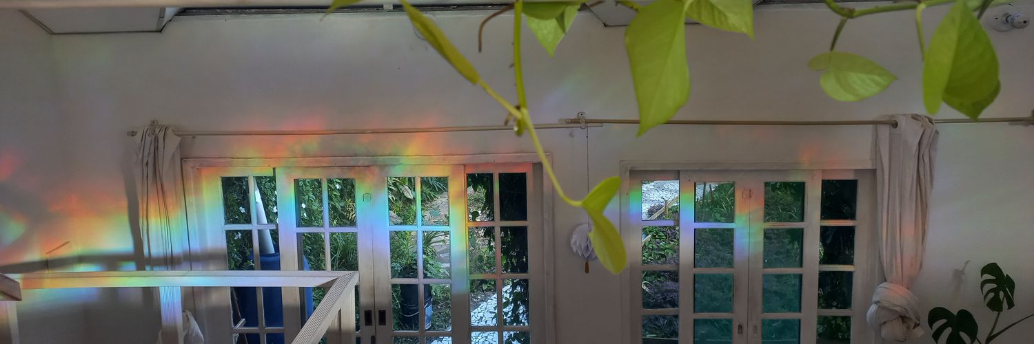 sanchxsx's profile banner image