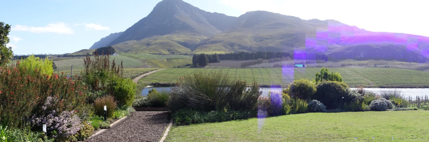 Chester🇿🇦 banner