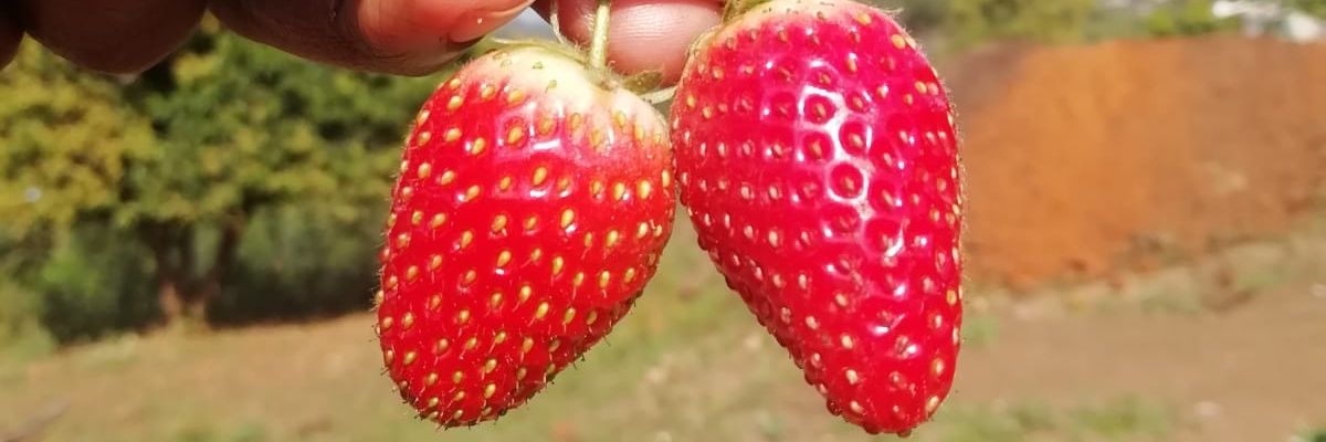 marvinQ's profile banner image