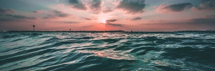 liznku's profile banner image
