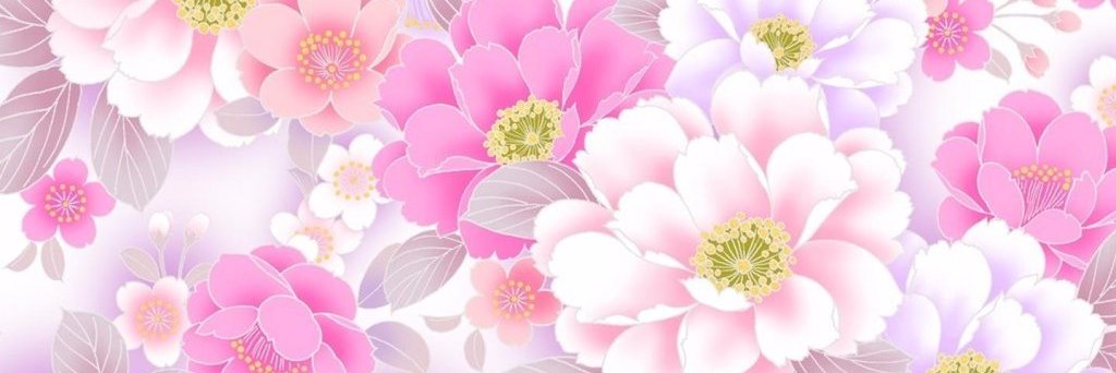 Melanydcsc's profile banner image