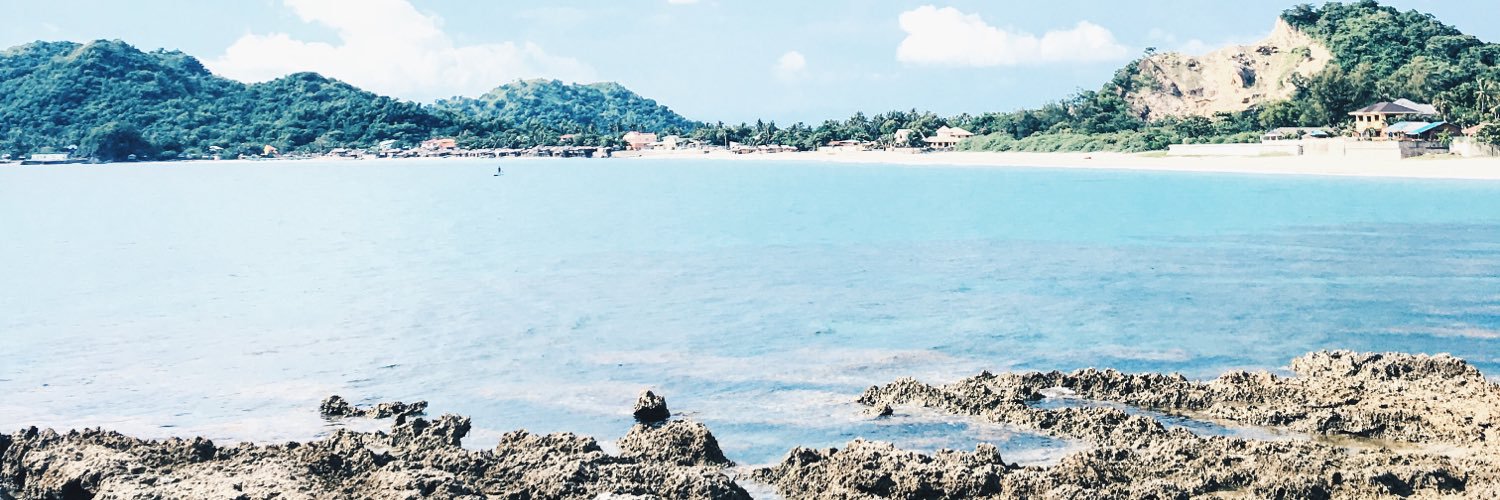 ann_ley's profile banner image